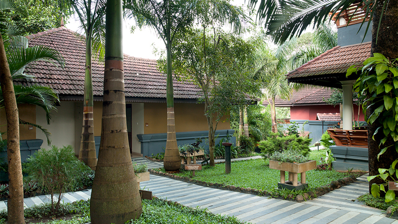 Periyar The Elephant Court 05