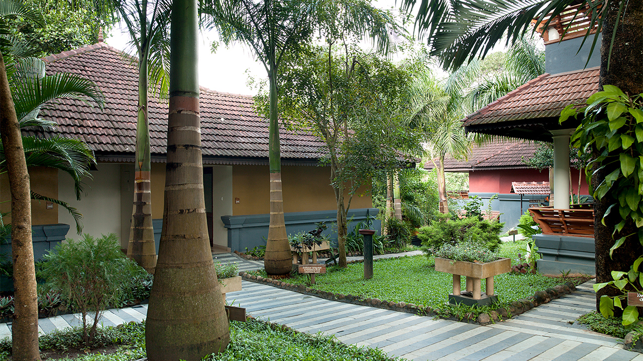 Periyar The Elephant Court 05
