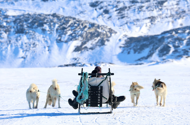 Ilulissat Hundeslaede 2449353233