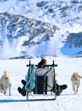 Ilulissat Hundeslaede 2449353233