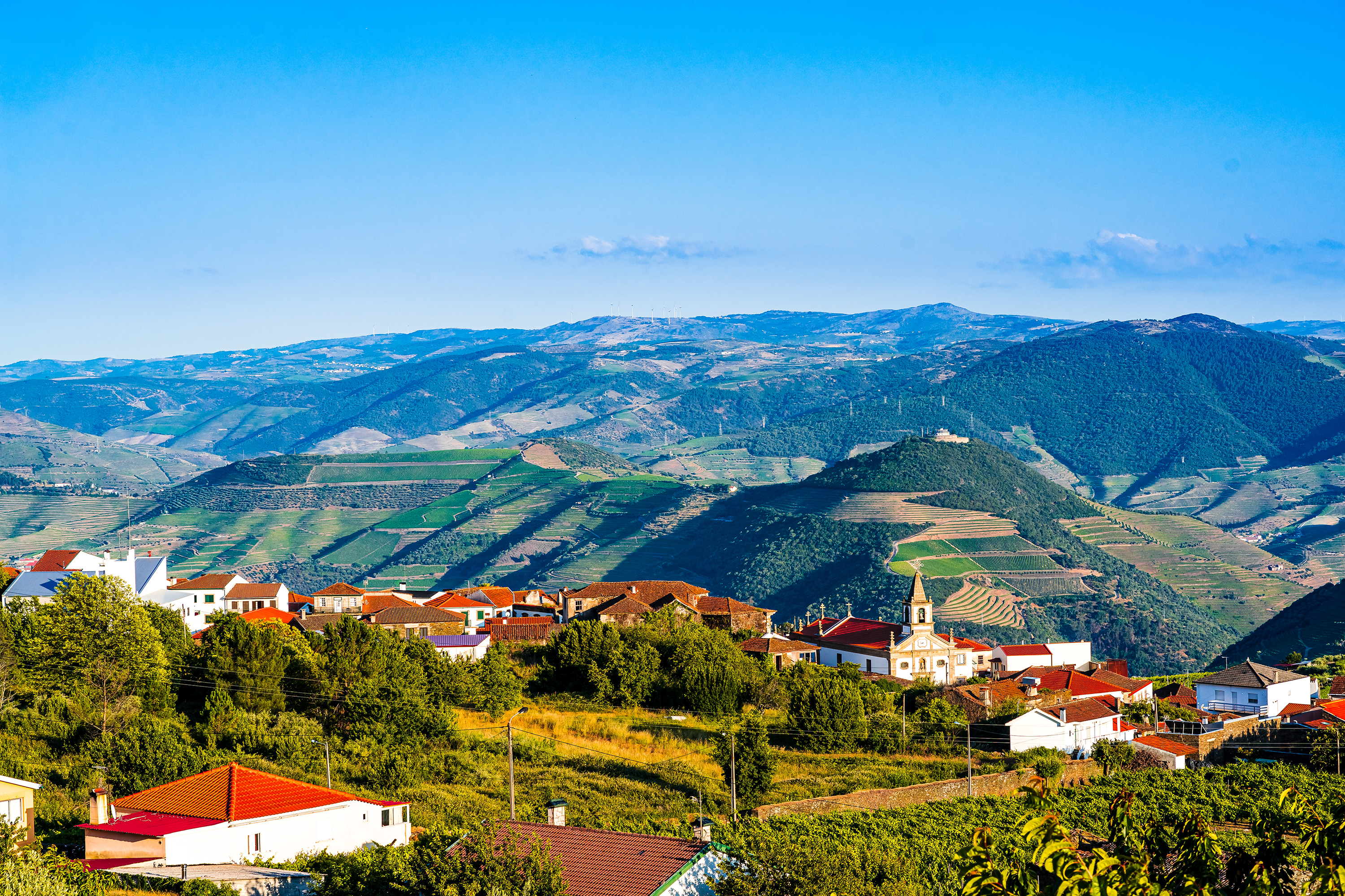 Douro Vin Shutterstock 1653490198