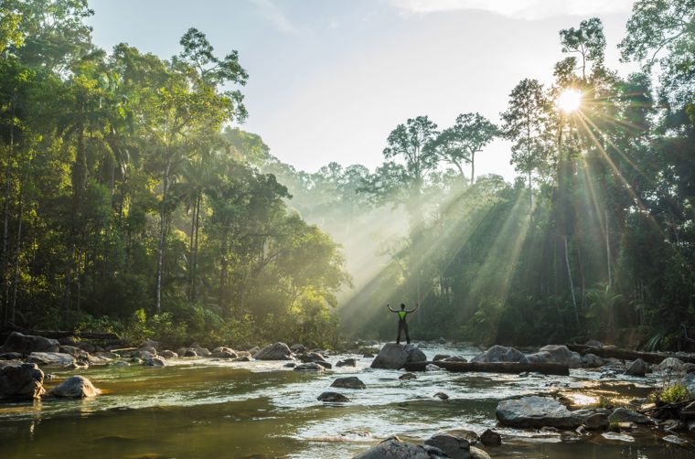 Malaysia Rompin Nationalpark1