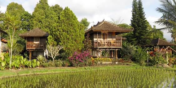 bali - munduk - puri lumbung cottage