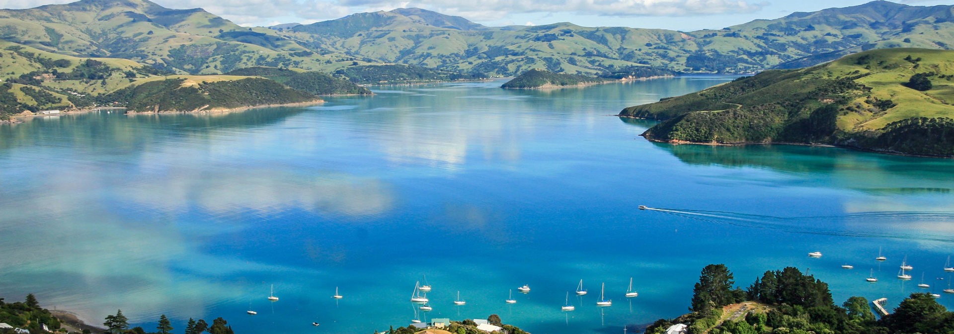 new zealand - akaroa bay_01