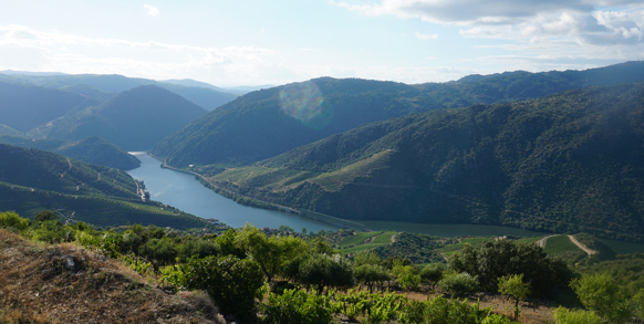 Vi krydser de smukke men barske skråninger i Dourodalen på togtur.