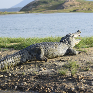 Gal Oya National Park
