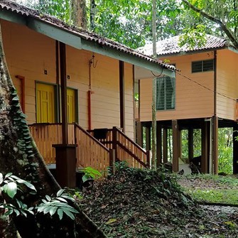 Earth Lodge Malaysia Rooms