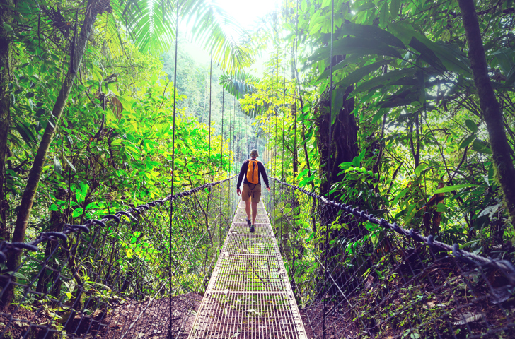 costa rica - monteverde_jungle_haengende_bro_14