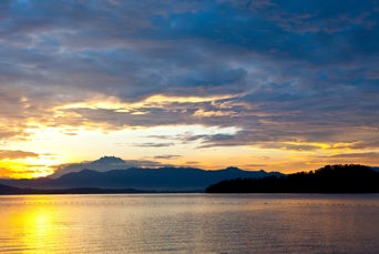 ...mageløse naturscenerier i junglen og ved havet...