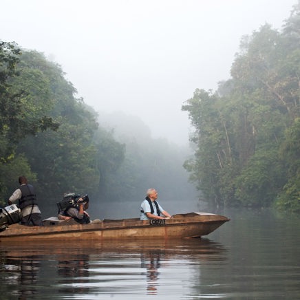 ...inden I rejser videre til Sukau Rainforest stille bifloder.