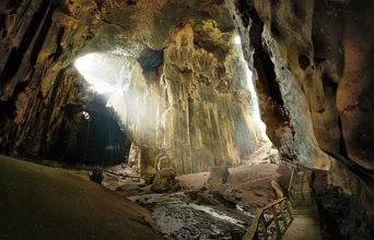malaysia/borneo - borneo_gomantong_grotte_01
