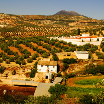 Landskab_Andalusien_01