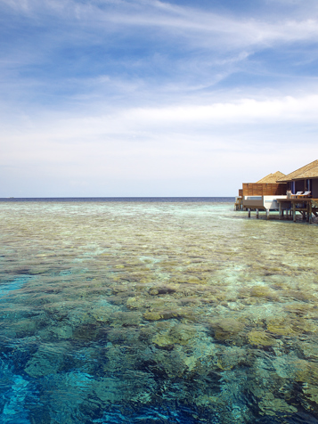 lily beach resort_rev_01