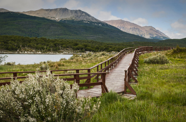 argentina - tierra del fuego landskab_01