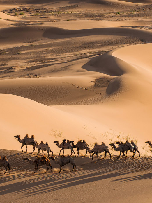 Khongor Sand Dunes2