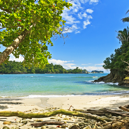 costa rica - manuel antonio national park_strand_04