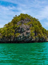 malaysia - langkawi_mangrove_02