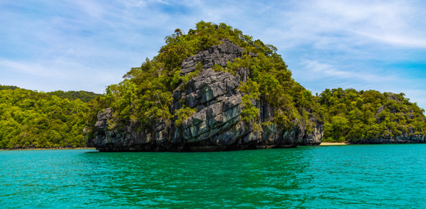 malaysia - langkawi_mangrove_02
