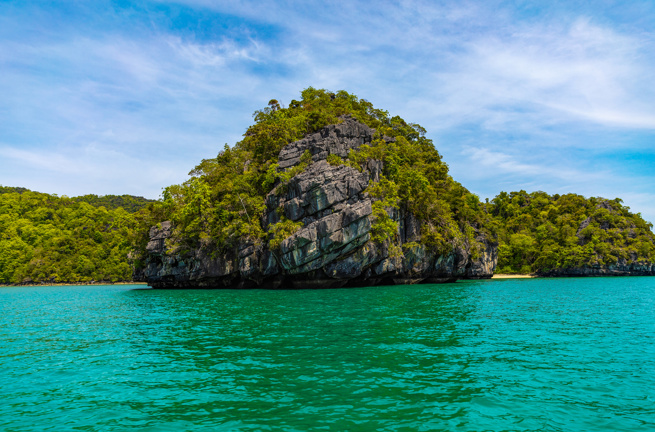 malaysia - langkawi_mangrove_02