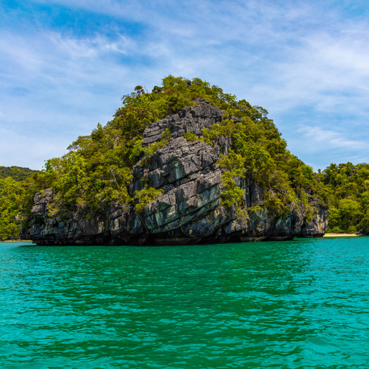malaysia - langkawi_mangrove_02