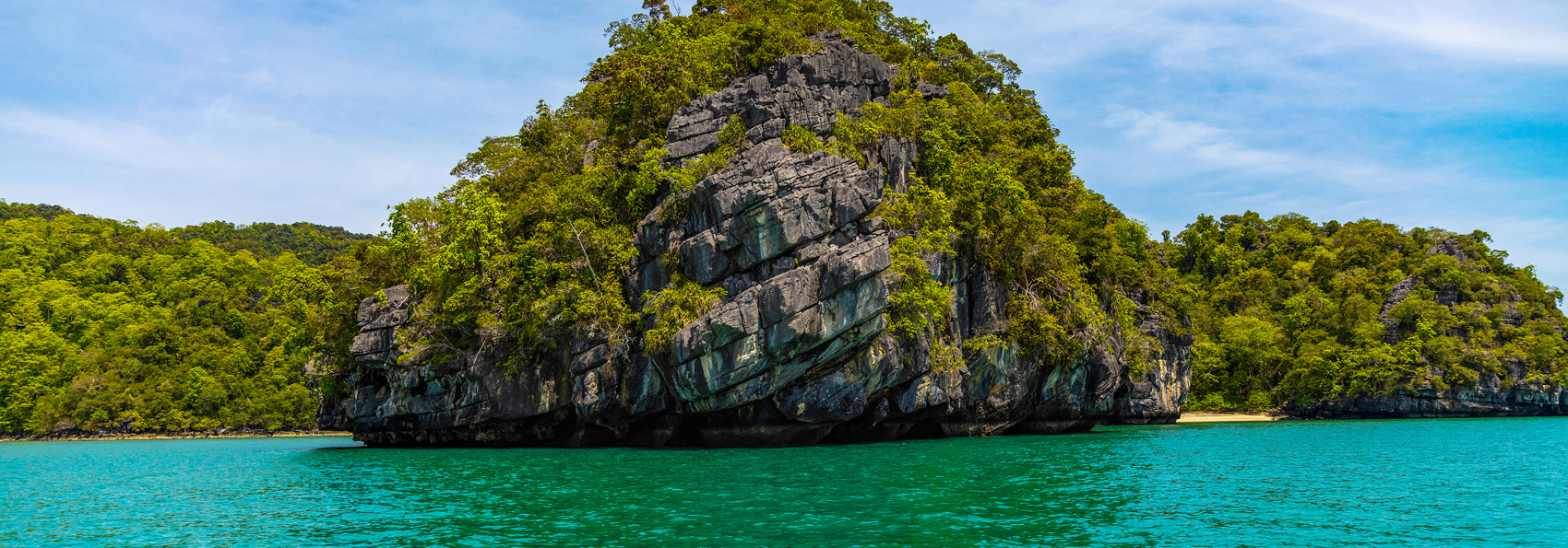 malaysia - langkawi_mangrove_02