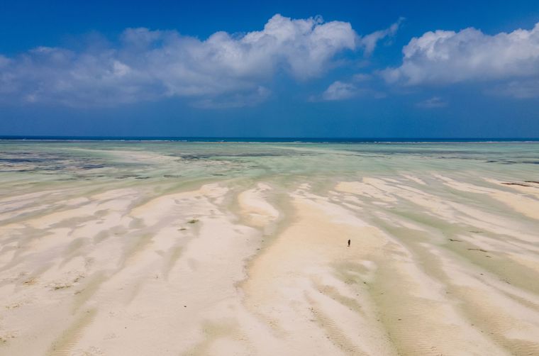 Zanzibar Tidevand2 (1)