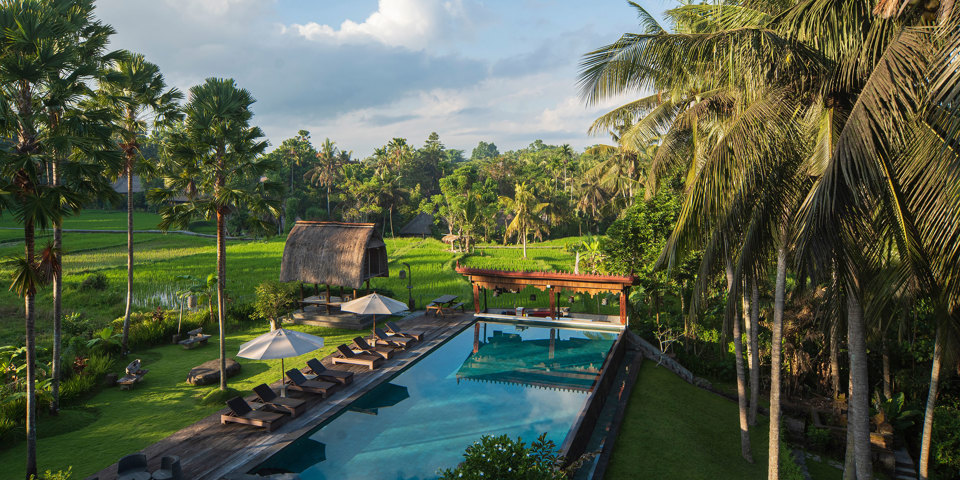 Aerial Pool Rice Fields
