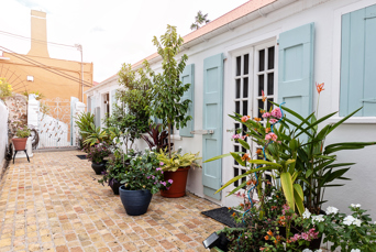 de vestindiske øer - st. thomas - At home in the tropics_Courtyard