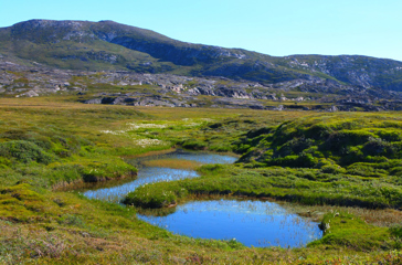 Ilimanaq_13