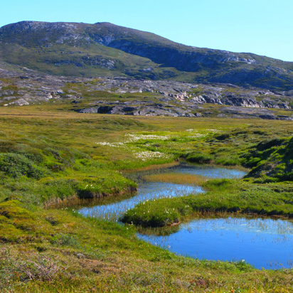 Ilimanaq_13