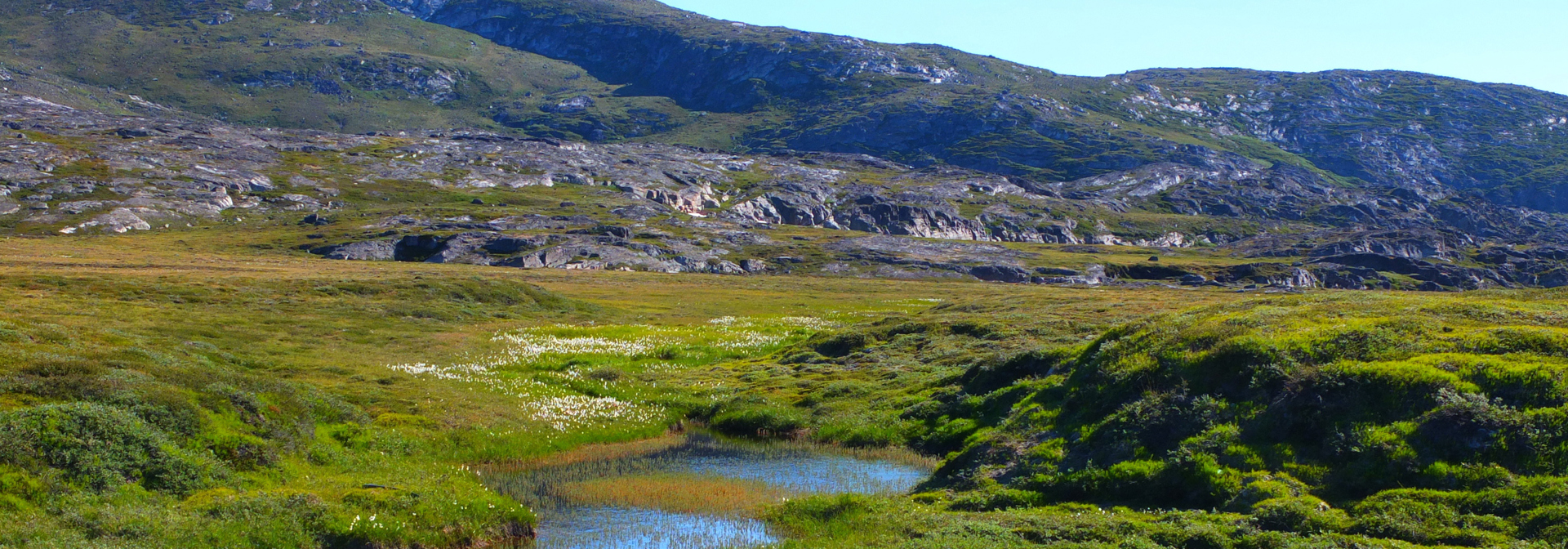 Ilimanaq_13