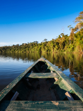 peru - amazonjunglen_03