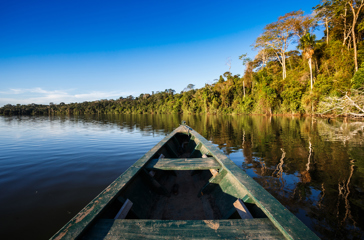 peru - amazonjunglen_03