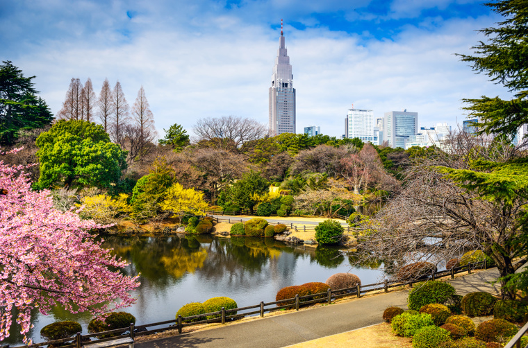 japan - tokyo_shinjuku park_01