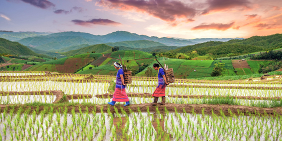 thailand - chiang mai_hmong_01