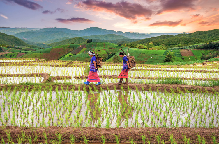 thailand - chiang mai_hmong_01