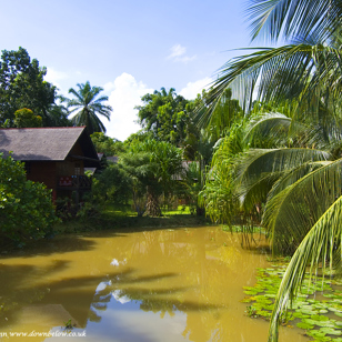 sepilok nature resort_udsigt_01
