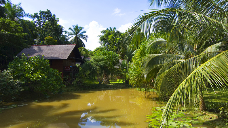 sepilok nature resort_udsigt_01
