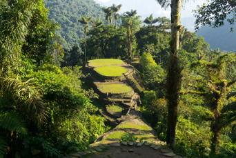 colombia - the lost city_01