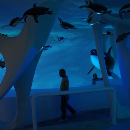 Puerto Madryn Punta Tombo Magellanic Penguin Interpretation Center