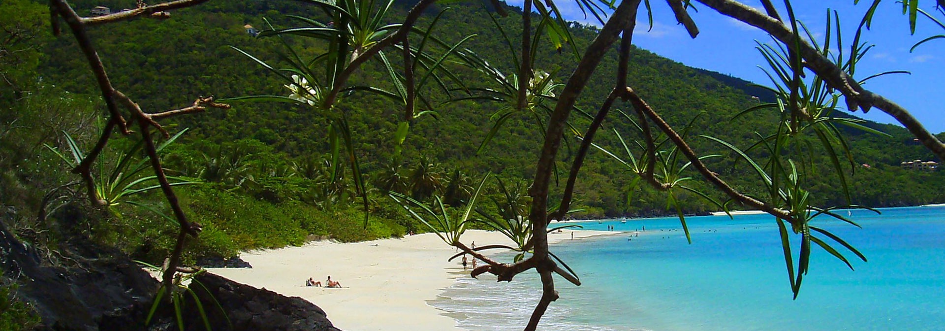 dansk vestindien - st john_cinnamon bay_strand_03