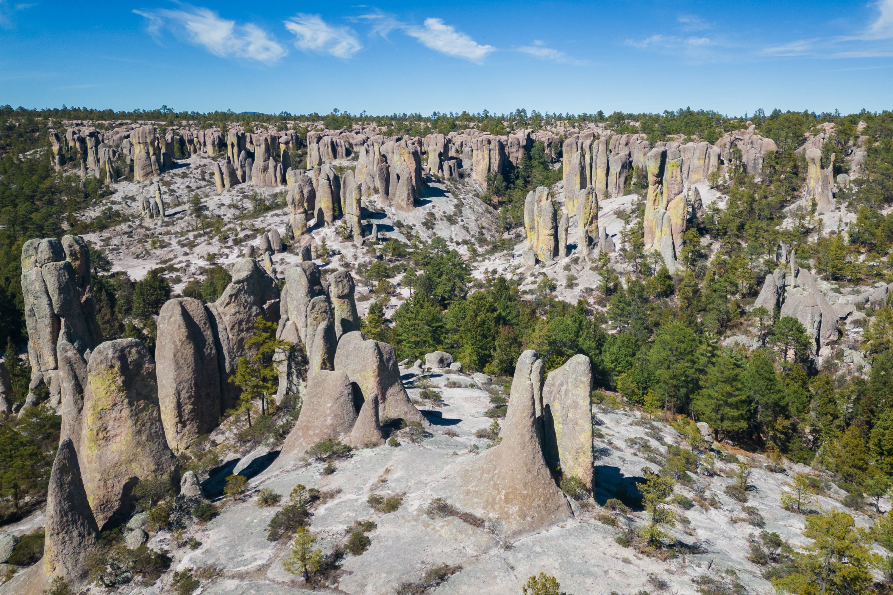 Creel Monk Valley GI 2234966976