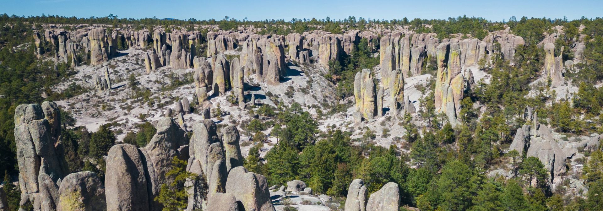 Creel Monk Valley GI 2234966976