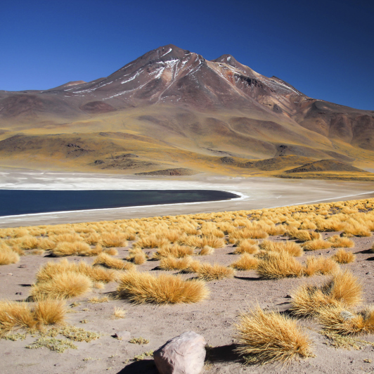 Atacama Laguna Miscanti