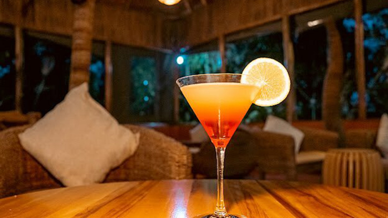 Elephant Hab Lodge 3