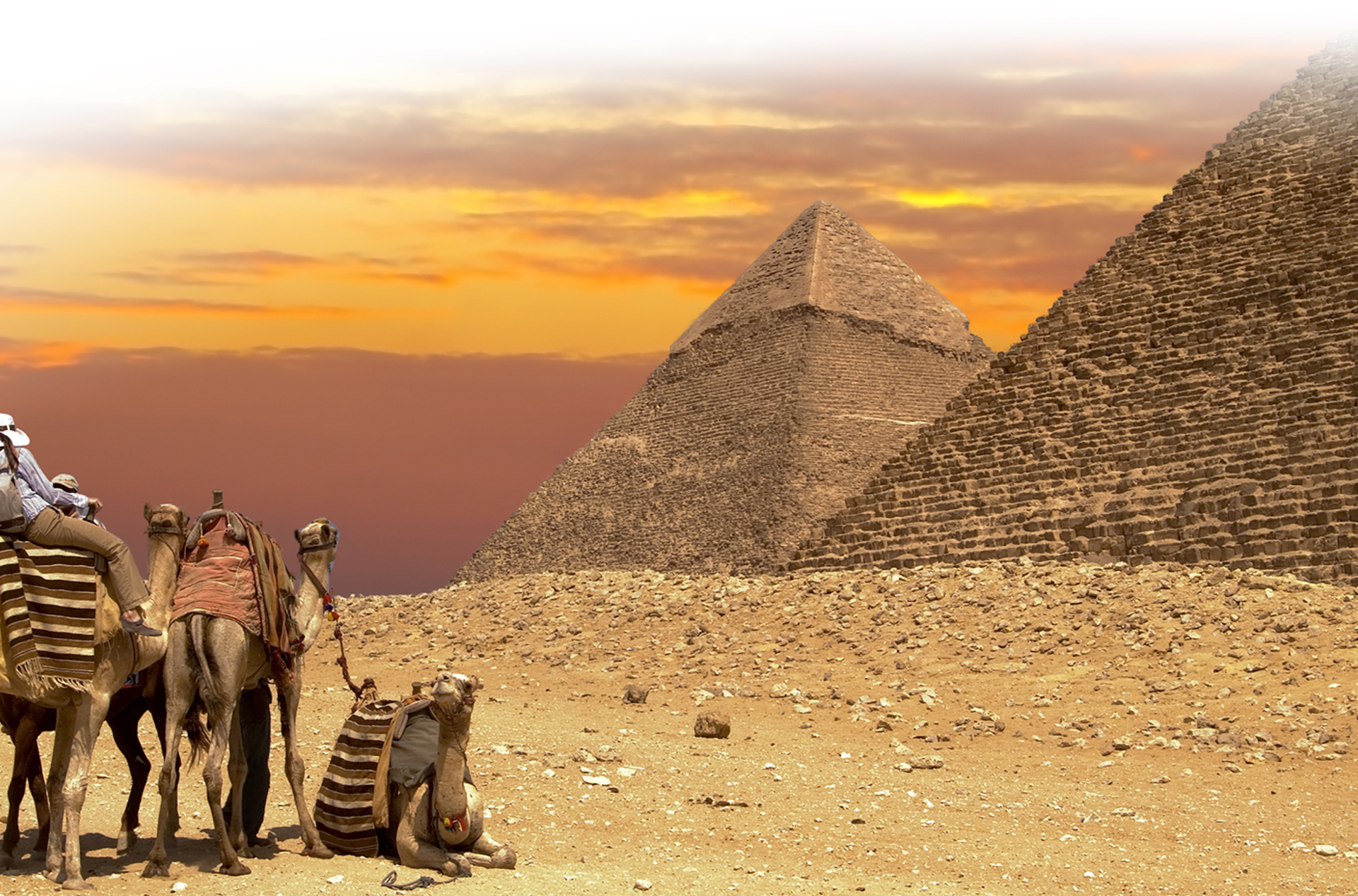 egypten - SS_2301142 Sahara sunset, camel pyramid