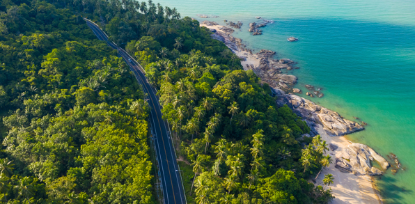 thailand - Khanom_kokos skov_01