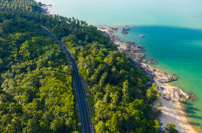 thailand - Khanom_kokos skov_01