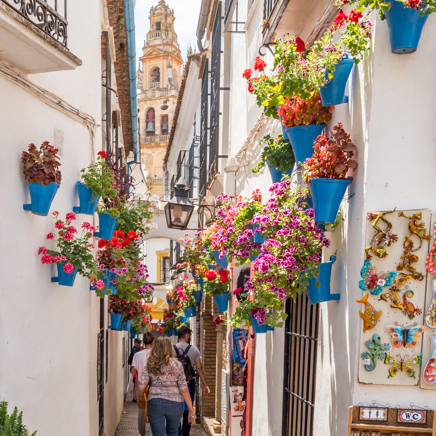 Blomsterkasser i Córdoba