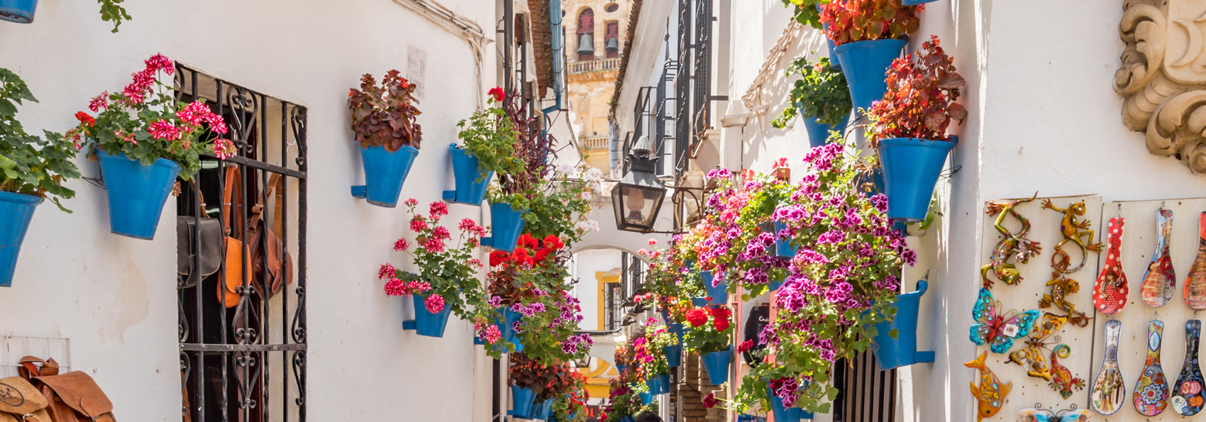 cordoba_blomst_02